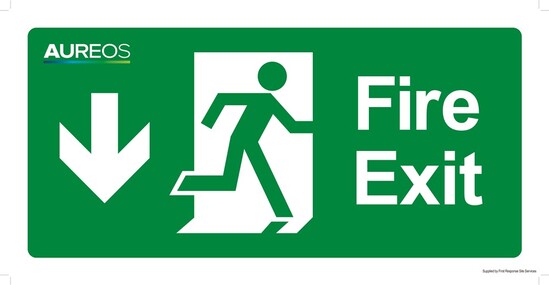 Picture of Fire Exit (Down Arrow) 600mm X 300mm Photoluminescent