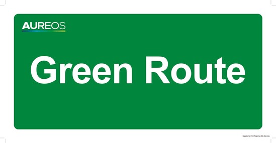 Picture of Green Route 600mm X 300mm