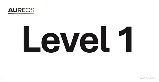 Picture of Level 1 600mm X 300mm