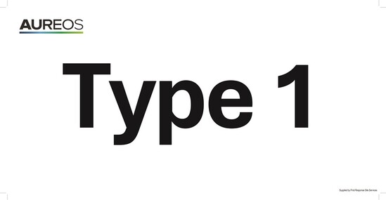 Picture of Type 1 600mm X 300mm